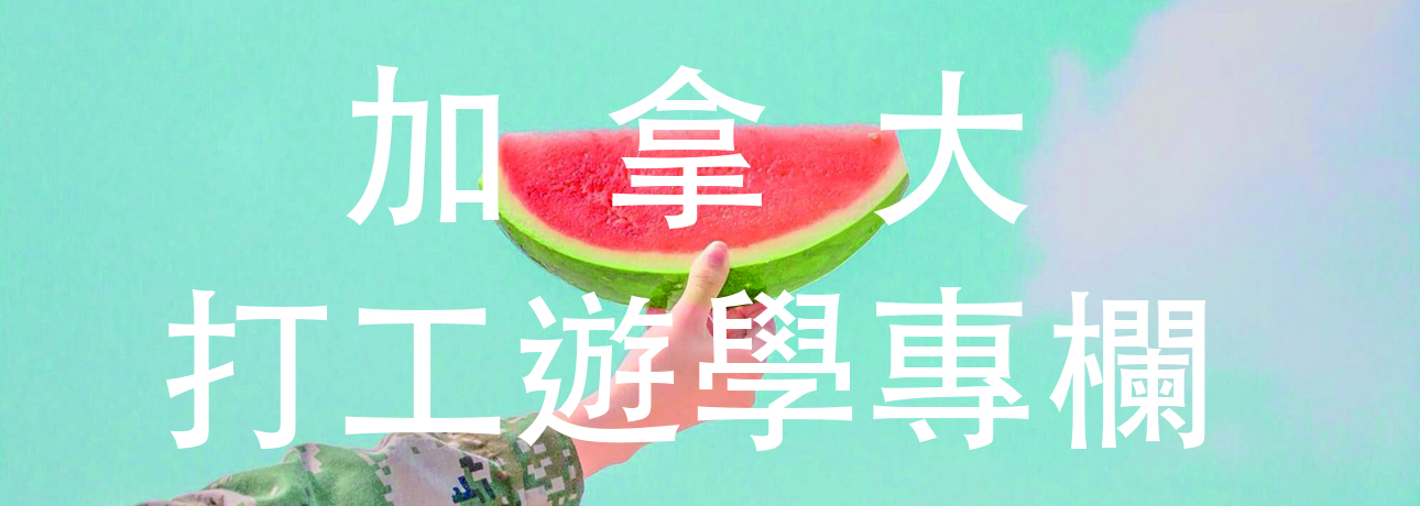 打工遊學 大西瓜