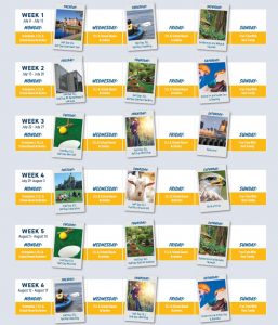 VIE SUMMER PROGRAM